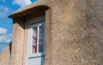 Modsary thatch roof disadvantages